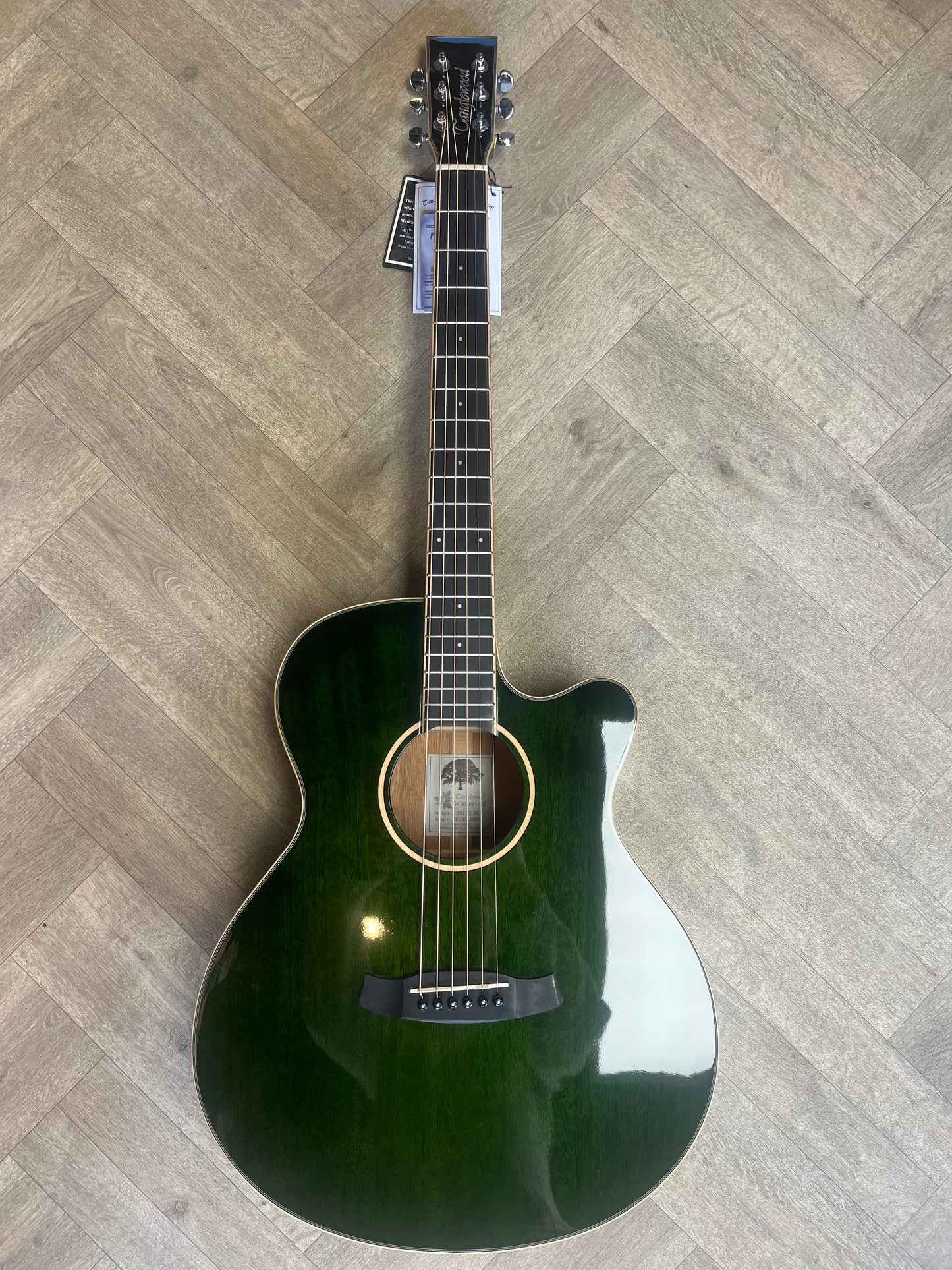Winterleaf Series - Green Gloss - Electro Acoustic Guitar